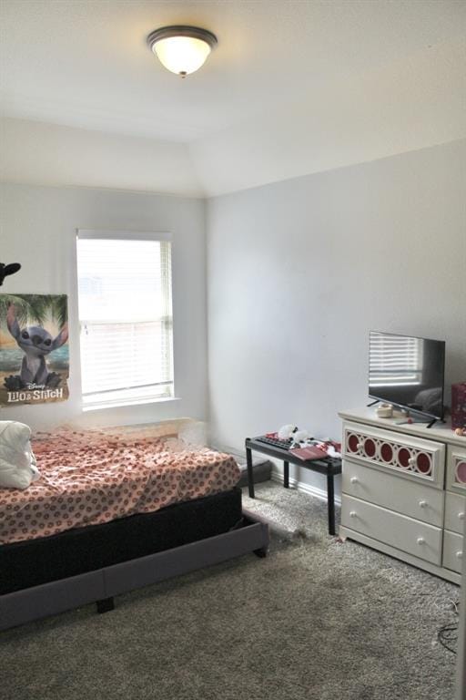 809 Kinghaven Drive, Little Elm TX 75068 - Photo 21