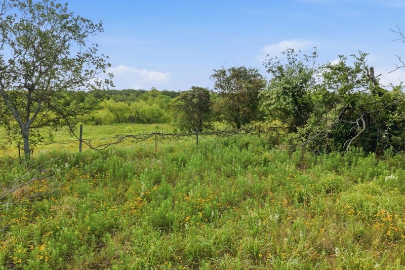 5019 Fm 2123, Paradise TX 76073 - Photo 8