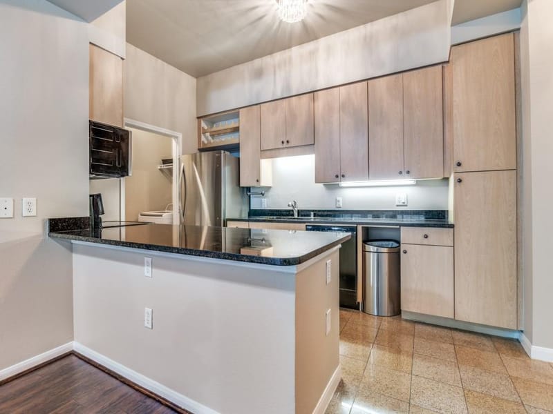3225 Turtle Creek Boulevard # 42, Dallas TX 75219 - Photo 10