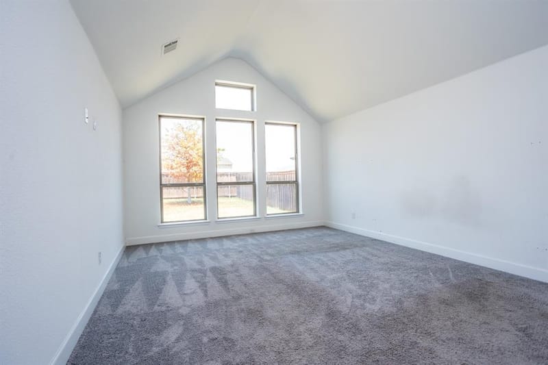 340 Moonvine Drive, Little Elm TX 75068 - Photo 22