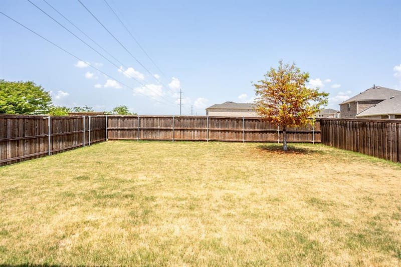 340 Moonvine Drive, Little Elm TX 75068 - Photo 32