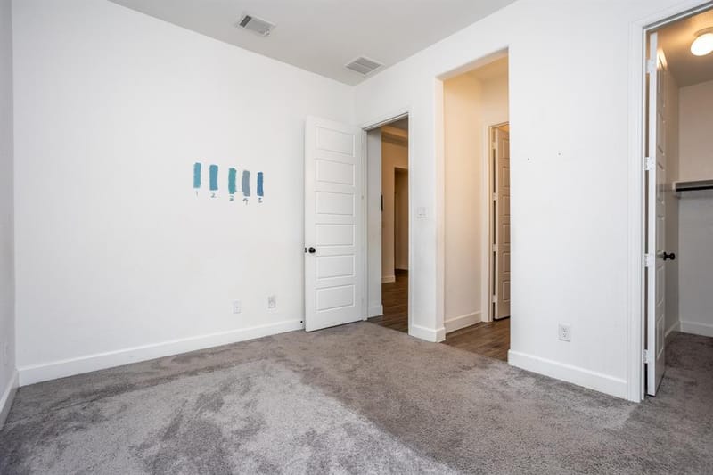 340 Moonvine Drive, Little Elm TX 75068 - Photo 11