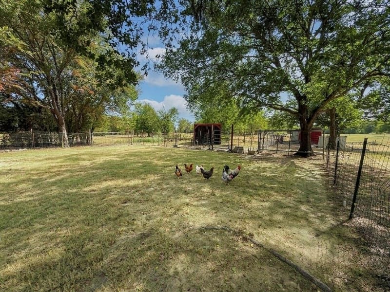 32951 Fm 47, Mabank TX 75147 - Photo 12