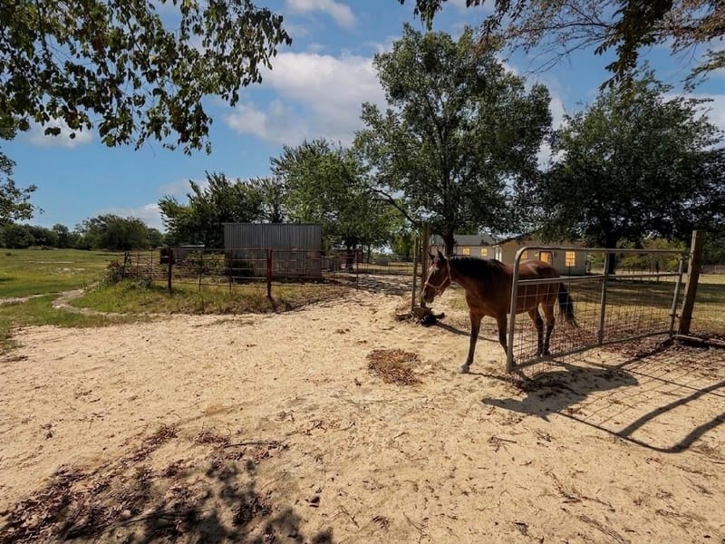 32951 Fm 47, Mabank TX 75147 - Photo 3