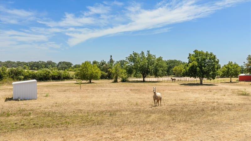 191 County Road 259, Dublin TX 76446 - Photo 30