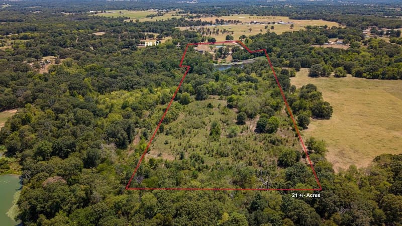 8266 Fm 17, Grand Saline TX 75140 - Photo 5