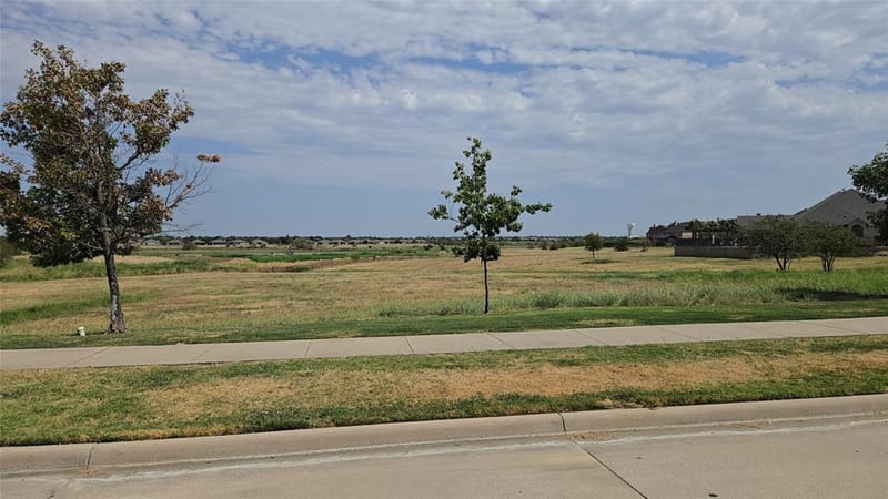 1139 Clearwater Drive, Frisco TX 75036 - Photo 22