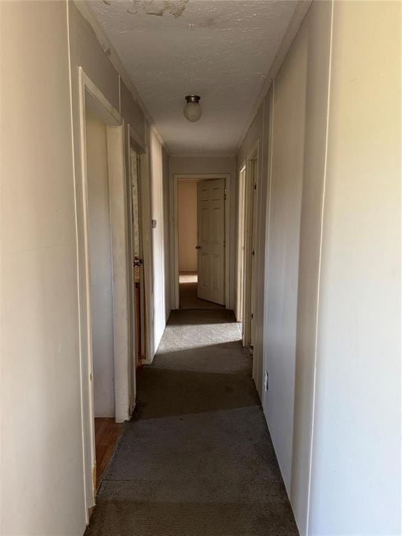 910 Star Drive # H, Granbury TX 76049 - Photo 16