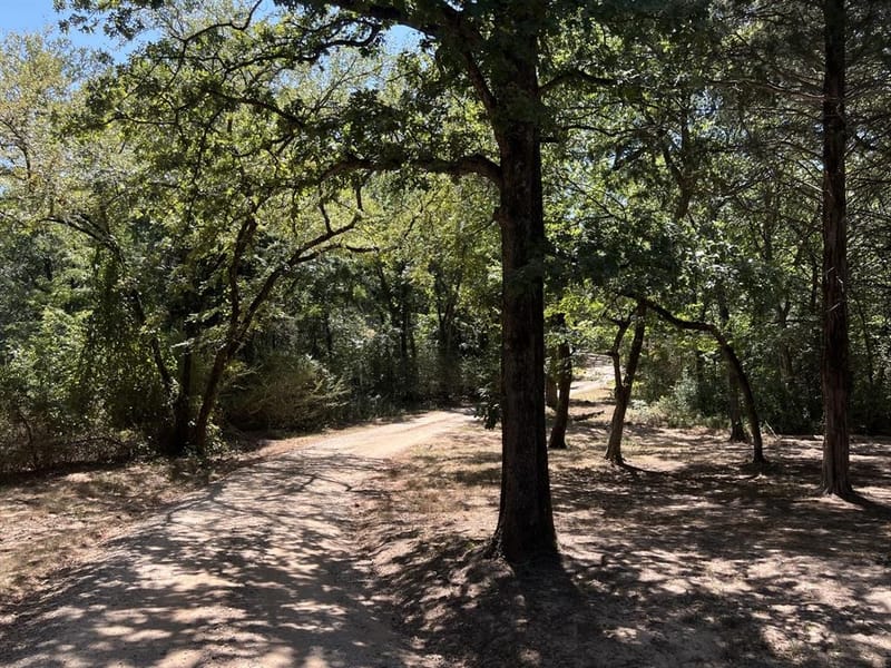 2496 County Road 2010, Ravenna TX 75476 - Photo 24