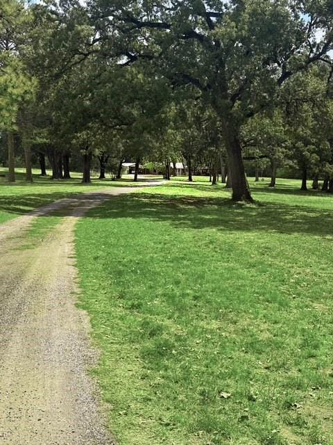 1078 1st Monday Lane, Canton TX 75103 - Photo 24