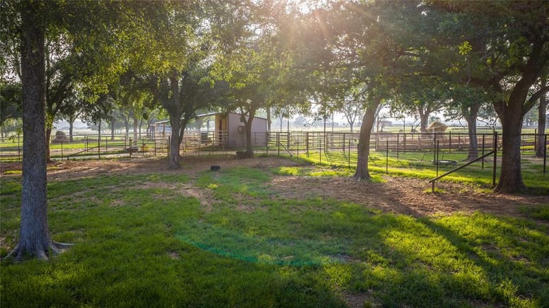 24183-B S US 281, Hico TX 76457 - Photo 39