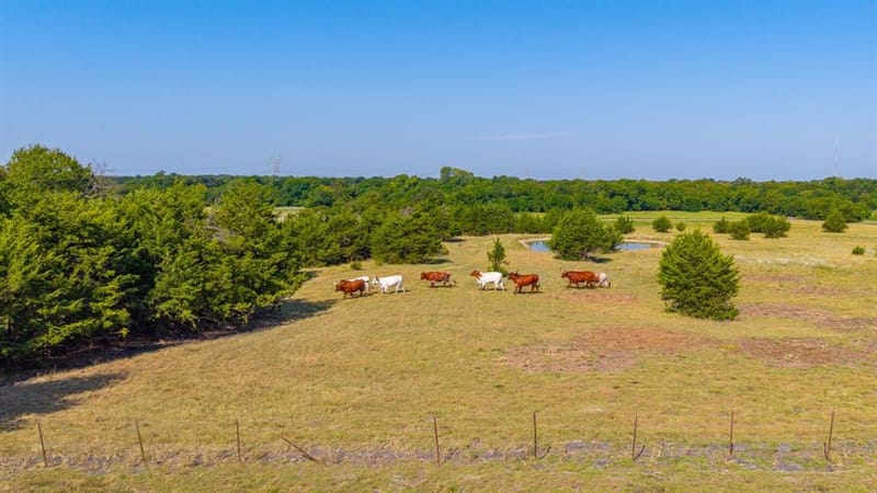 1704 County Road 1002, Greenville TX 75401 - Photo 37