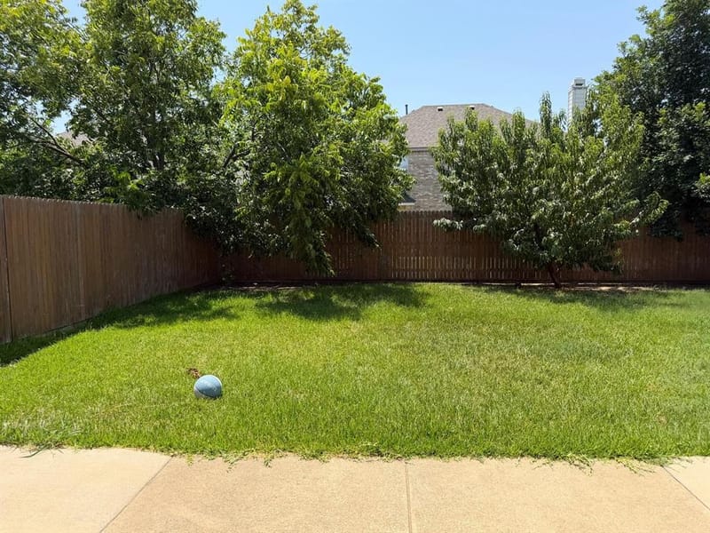 3104 Deleon Drive, Plano TX 75025 - Photo 27