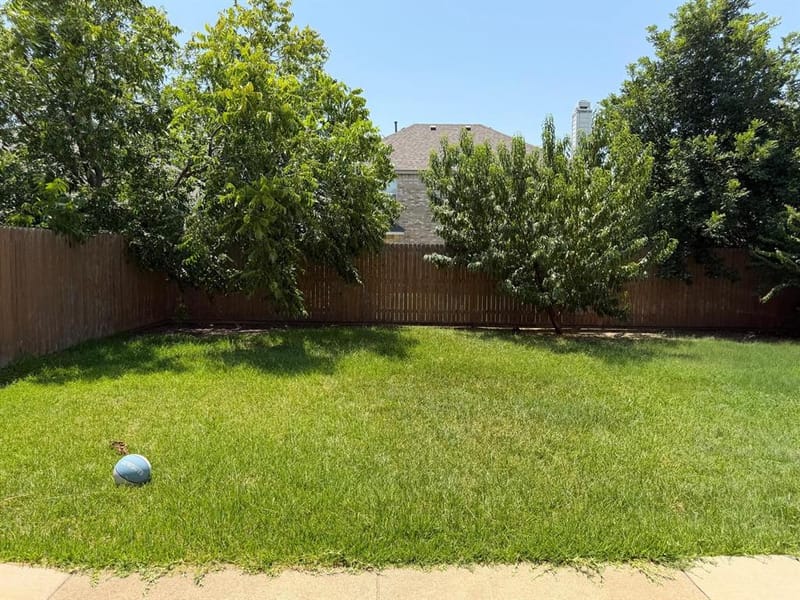 3104 Deleon Drive, Plano TX 75025 - Photo 28