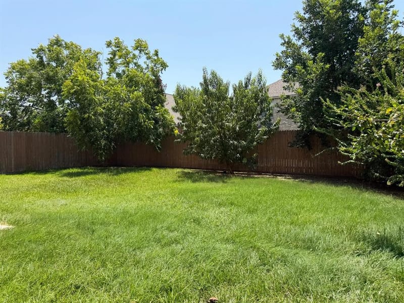3104 Deleon Drive, Plano TX 75025 - Photo 30