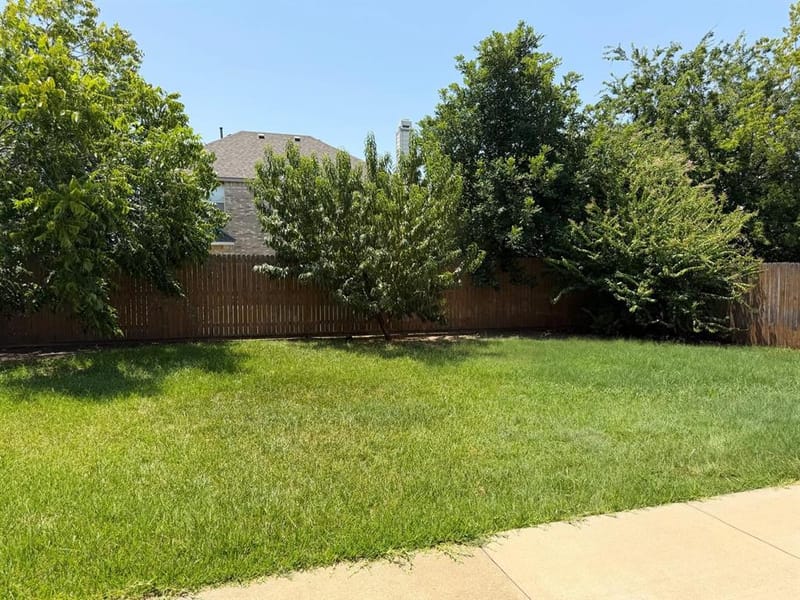 3104 Deleon Drive, Plano TX 75025 - Photo 29
