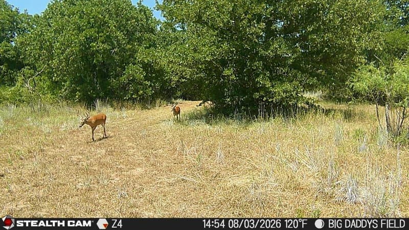 1000 Middleton Road, Weatherford TX 76088 - Photo 29