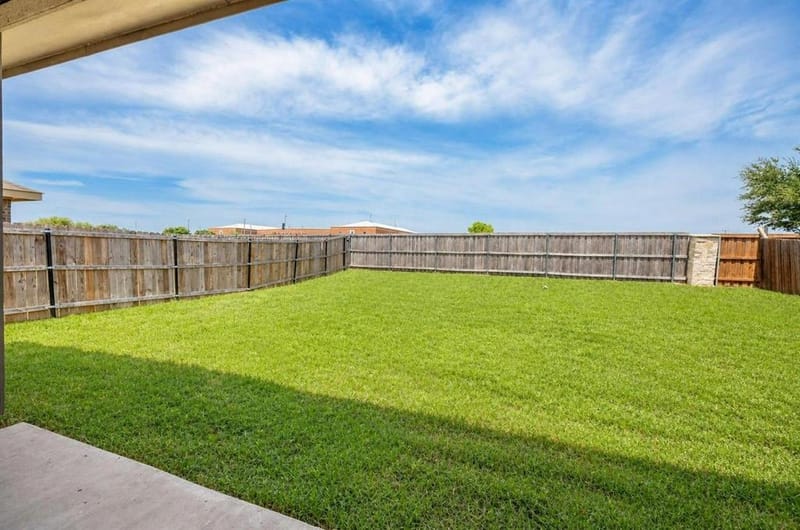 3002 Shetland Street, Forney TX 75126 - Photo 23