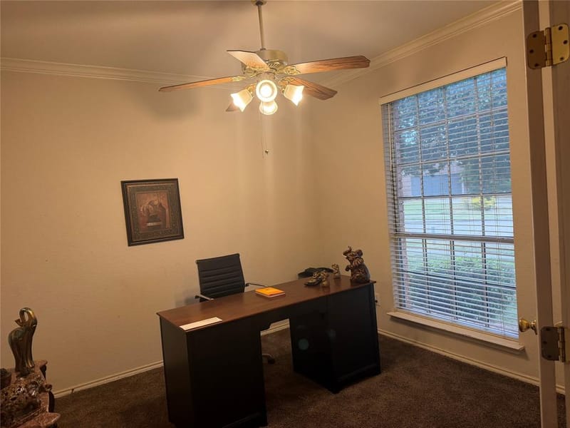 311 Holly Leaf Trail, Forney TX 75126 - Photo 3