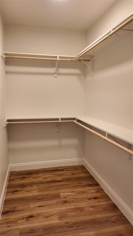 5407 Terry Street, Dallas TX 75223 - Photo 20