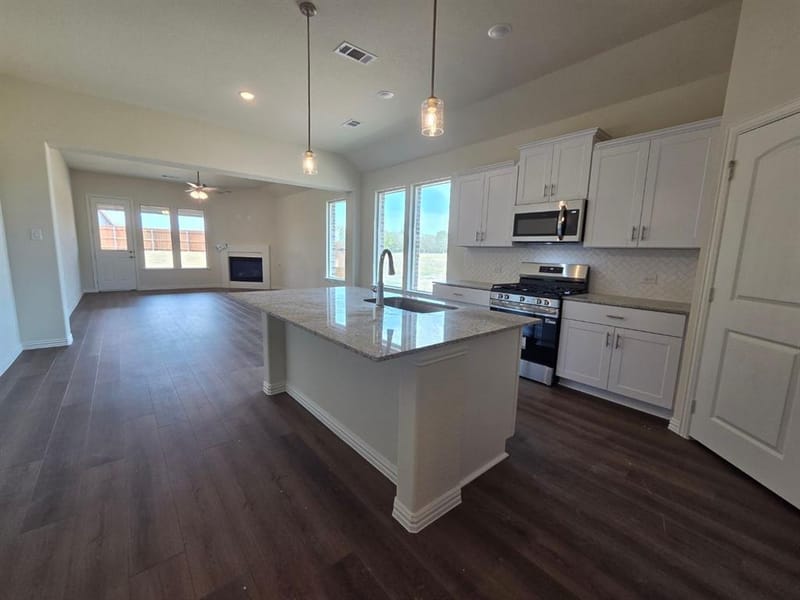 804 Silverleaf Drive, Ennis TX 75119 - Photo 5
