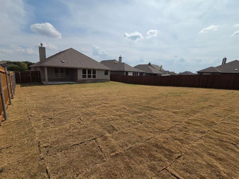 804 Silverleaf Drive, Ennis TX 75119 - Photo 15