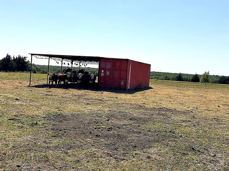 1599 County Road 2925, Dodd City TX 75438 - Photo 13