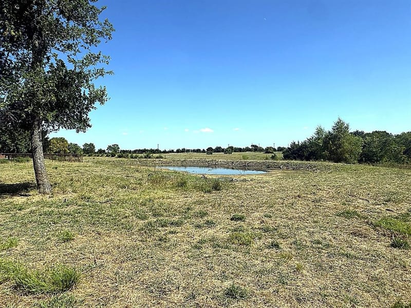 1599 County Road 2925, Dodd City TX 75438 - Photo 36