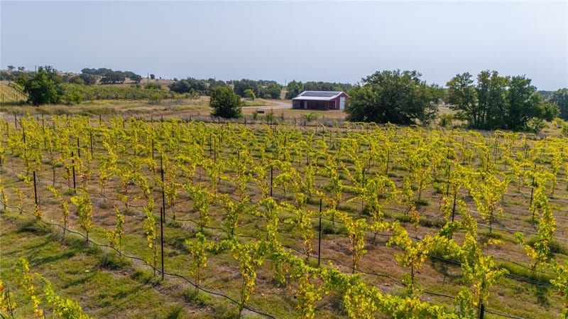 25270 East State Highway 6, Hico TX 76457 - Photo 32