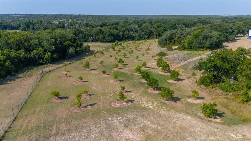 25270 East State Highway 6, Hico TX 76457 - Photo 35