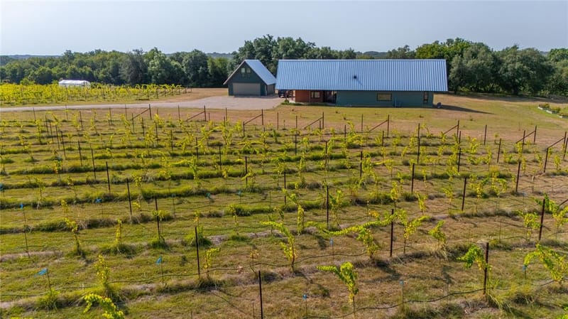 25270 East State Highway 6, Hico TX 76457 - Photo 29