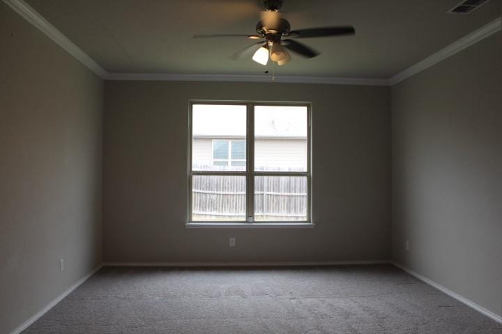 3705 Fossil Tree Lane, Fort Worth TX 76244 - Photo 11