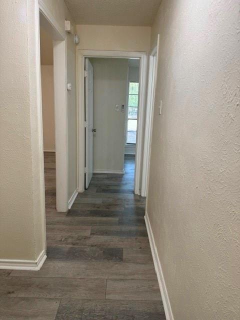 309 West Court, Glenn Heights TX 75154 - Photo 21
