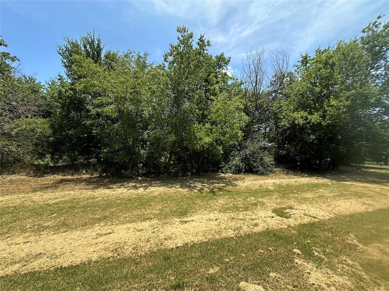 1356 Orange Blossom Court, Gainesville TX 76240 - Photo 29