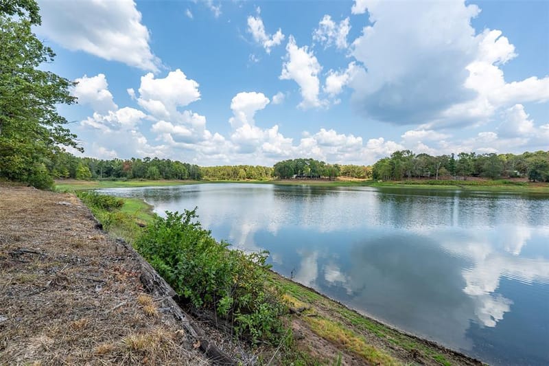 121 Private Road 6671, Hawkins TX 75765 - Photo 2