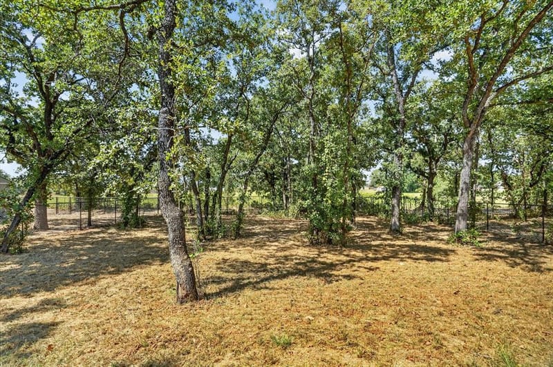 461 Peace Lily Way, Tolar TX 76476 - Photo 29