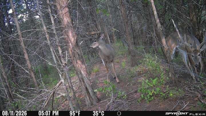 5464 County Road 12650, Paris TX 75462 - Photo 23