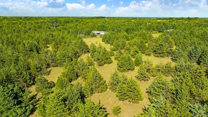 5464 County Road 12650, Paris TX 75462 - Photo 21