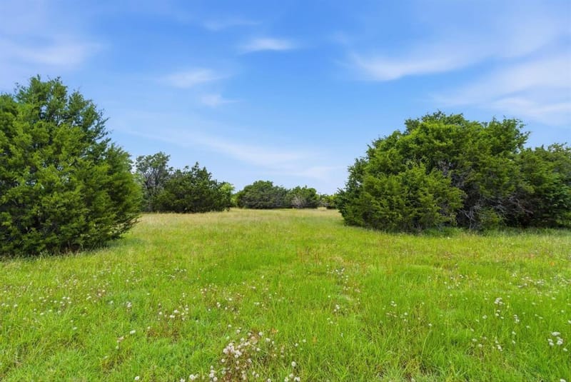 927 Prickly Pear Trail, Gordon TX 76453 - Photo 34