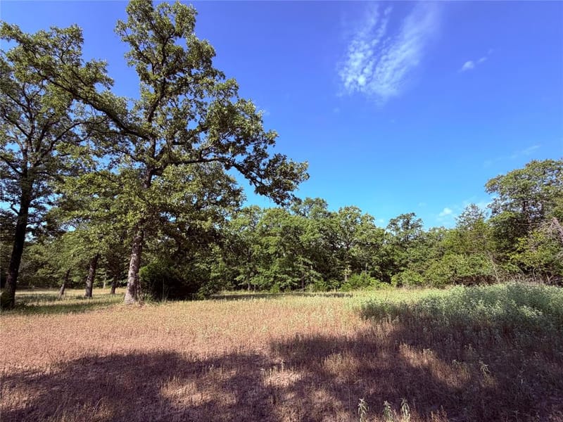 10442 County Road 2434, Terrell TX 75160 - Photo 27