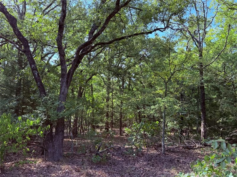 10442 County Road 2434, Terrell TX 75160 - Photo 28
