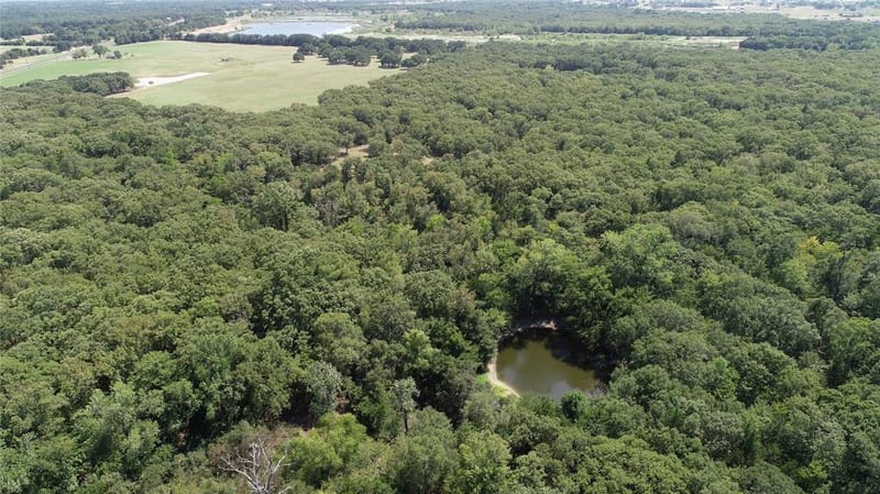 10442 County Road 2434, Terrell TX 75160 - Photo 34