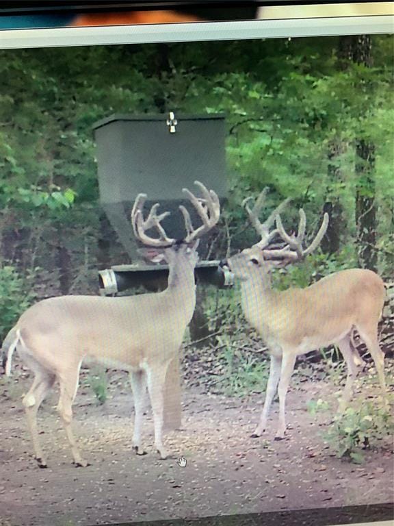 10442 County Road 2434, Terrell TX 75160 - Photo 21