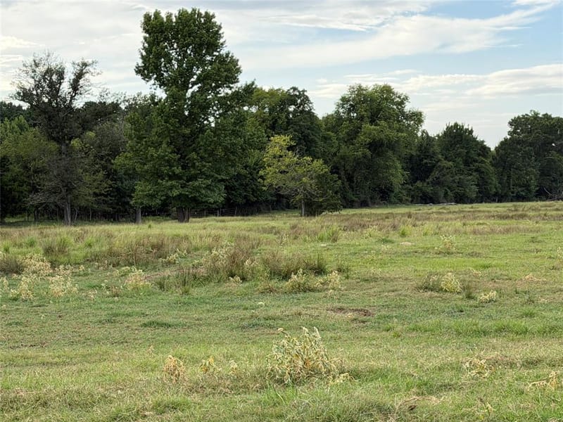 225 Farm to Market Rd 21, Pittsburg TX 75686 - Photo 14