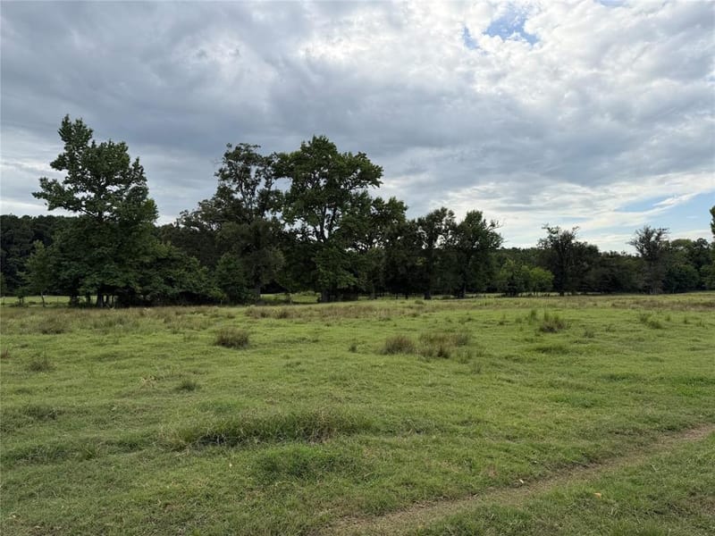 225 Farm to Market Rd 21, Pittsburg TX 75686 - Photo 19