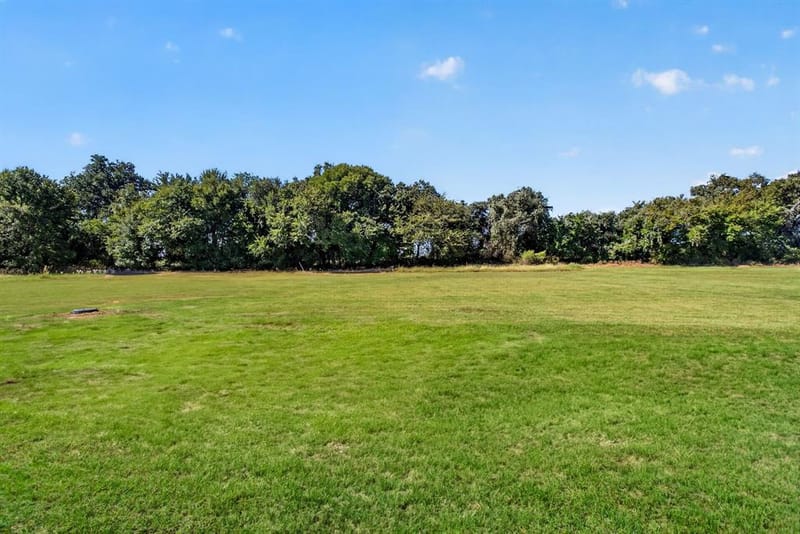 129 Heritage Springs Drive, Weatherford TX 76087 - Photo 40
