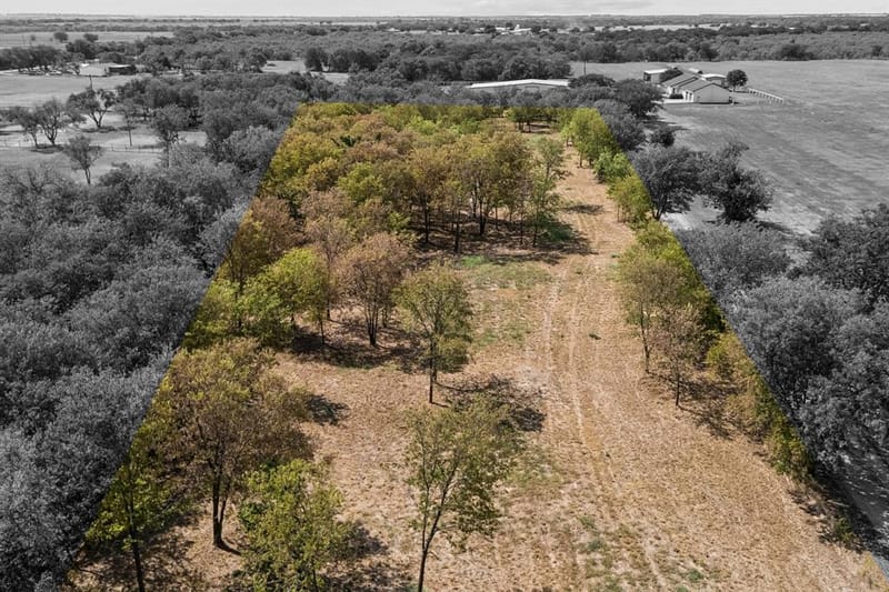 Lot 1 - 2.8 Acres Airport Road, Tioga TX 76271 - Photo 18