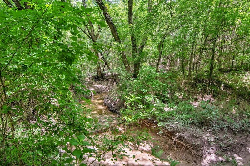 8081 County Road 500, Blue Ridge TX 75424 - Photo 34