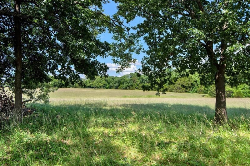 8081 County Road 500, Blue Ridge TX 75424 - Photo 33