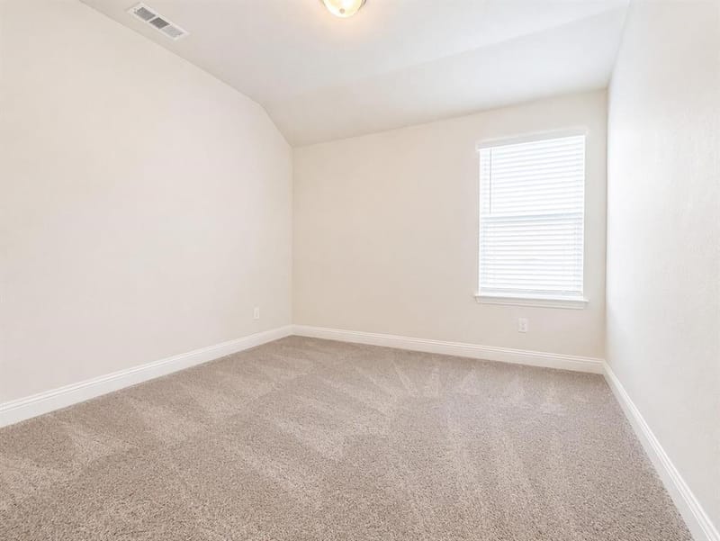 1212 Castiglione Lane, Anna TX 75409 - Photo 8